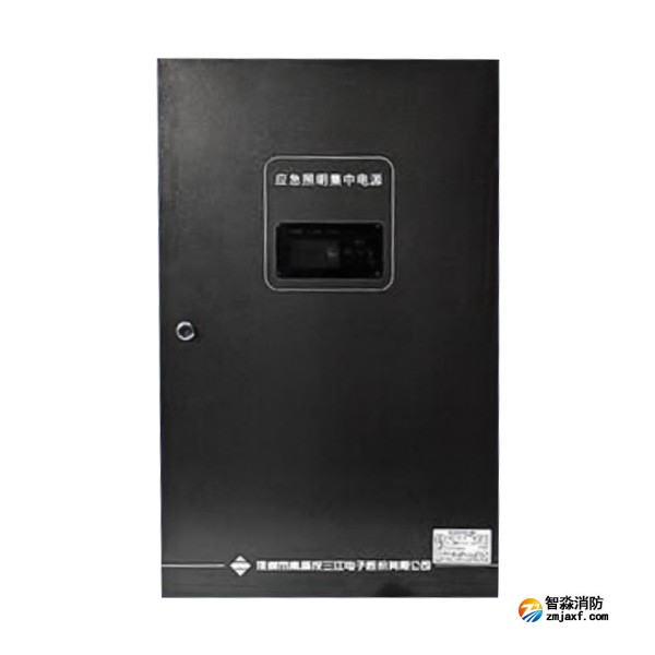 南通海湾SJ-D-0.6KVA/P601AC应急照明集中电源 4回路 壁挂式